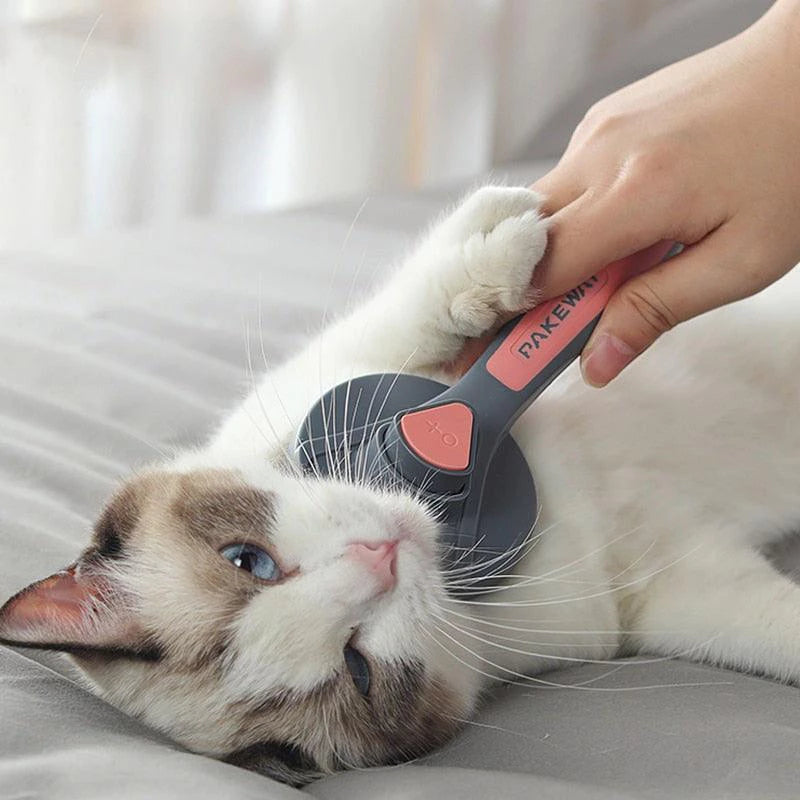 Escova Removedora Tira Pelos Dos Pets Cães E Gatos